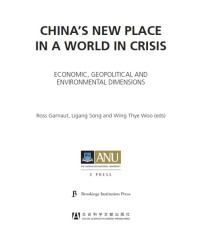 China's New Place in a World in Crisis : Economic, Geopolitical and Environmental Dimensions
